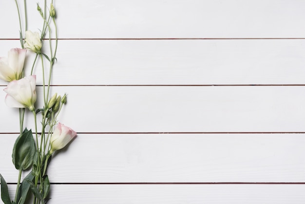 Beautiful eustoma flower twigs on white wooden plank