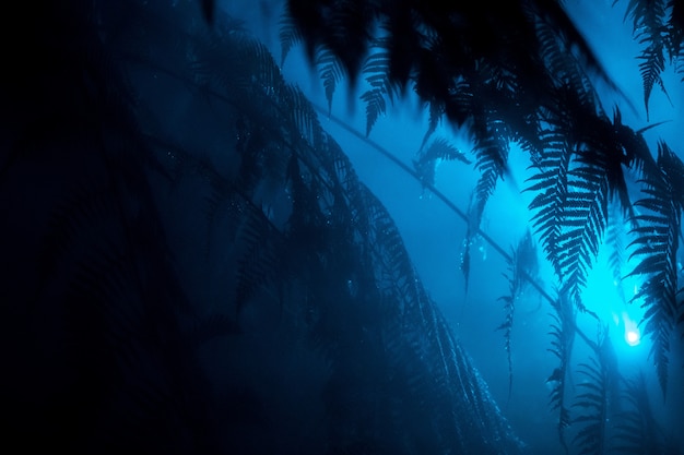 Beautiful exotic leaves in a tropical forest with a blue light shining near