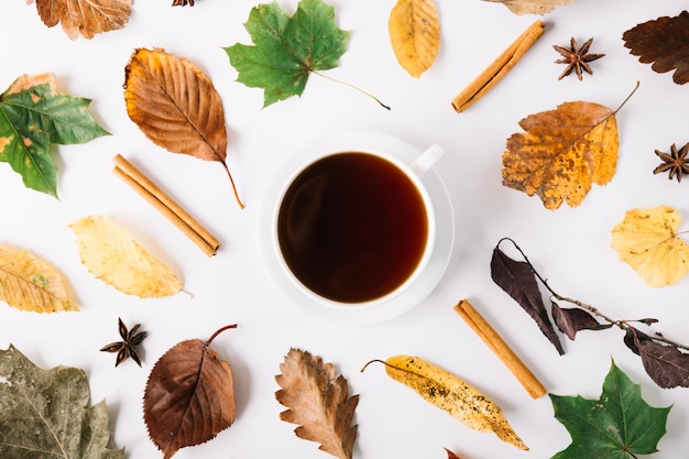 Beautiful fall composition with tea