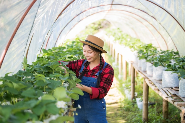 Beautiful farmer woman checking strawberry farm