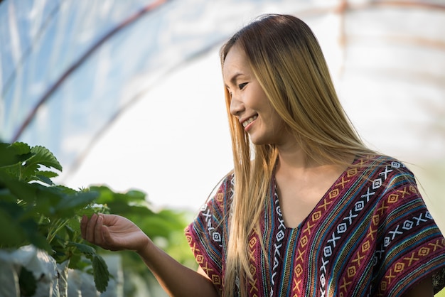 Beautiful farmer woman checking strawberry farm