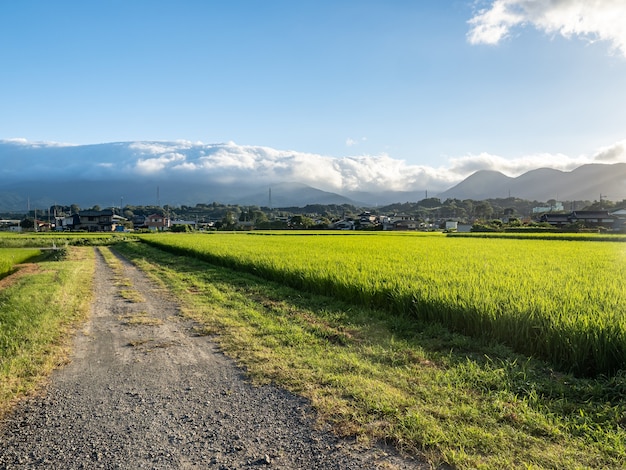 일본 가나가와현 마쓰다의 아름다운 농지