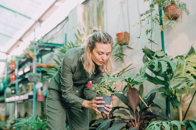 Beautiful female nursery worker working in greenhouse