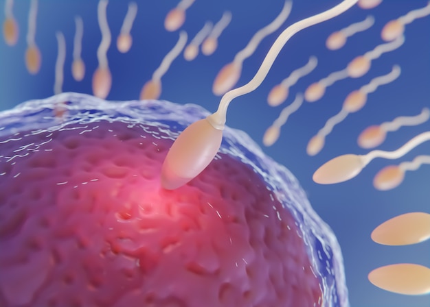 Beautiful fertility concept in 3d rendering