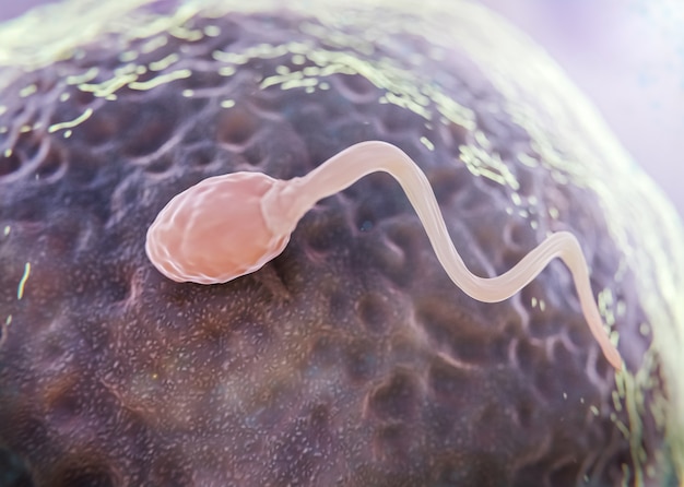 Free photo beautiful fertility concept in 3d rendering