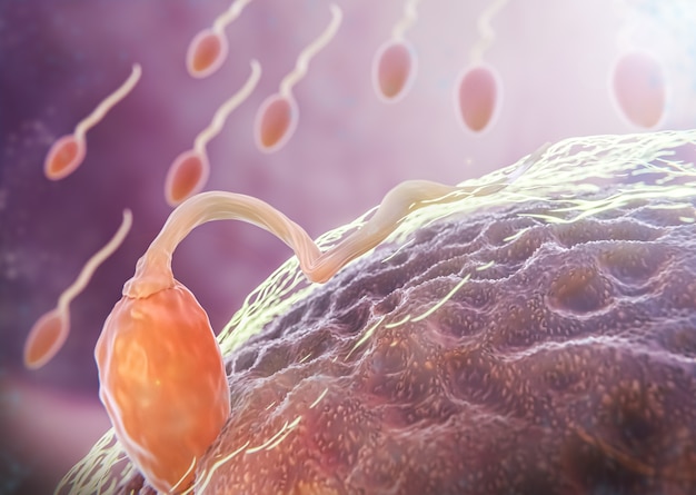 Beautiful fertility concept in 3d rendering