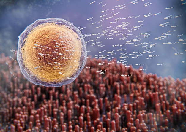 Beautiful fertility concept in 3d rendering