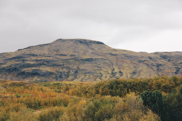 Beautiful field with high mountains and hills