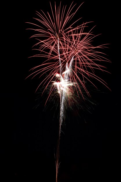 夜の美しい花火