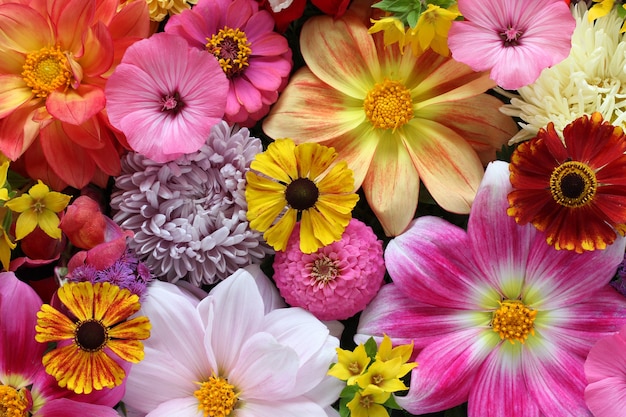 wallpapers Photography Flower Background Hd 561 000 flower pictures
