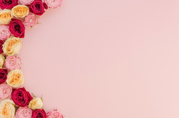 Rose Background Images - Free Download on Freepik