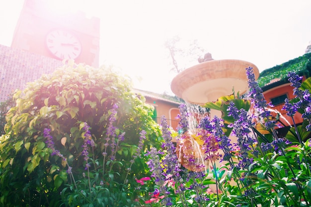 Foto gratuita bel fiore in giardino