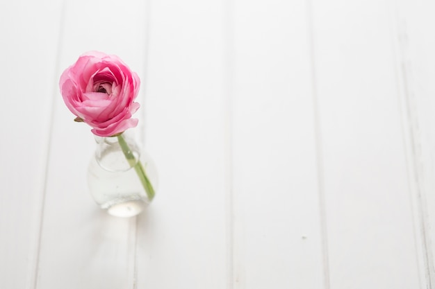 Beautiful flower on a modern vase