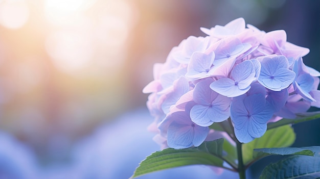 Un bellissimo fiore in natura