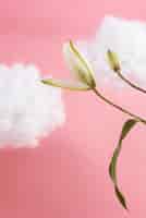 Free photo beautiful flower with pink background