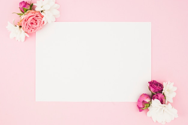 Beautiful flowers on the corner of white paper against pink background