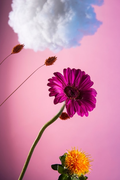 Free photo beautiful flowers and fluffy cloud