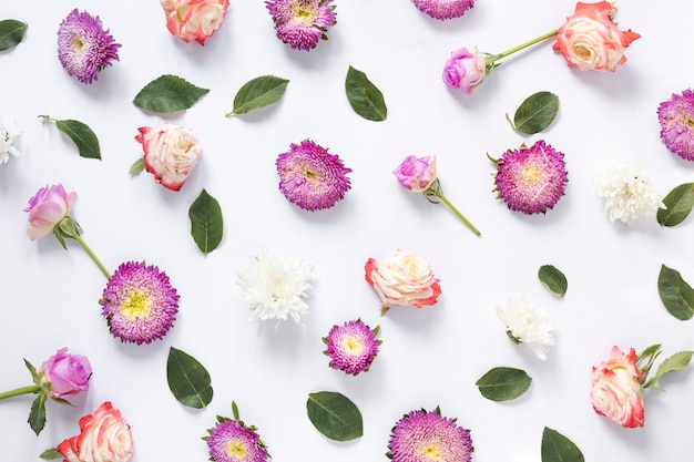 Beautiful flowers and green leaves on white background