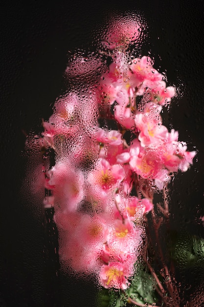 무료 사진 습기 유리 뒤에 보이는 아름다운 꽃