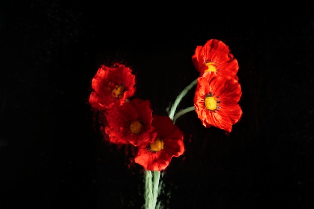 Free Photo beautiful flowers seen behind humidity glass