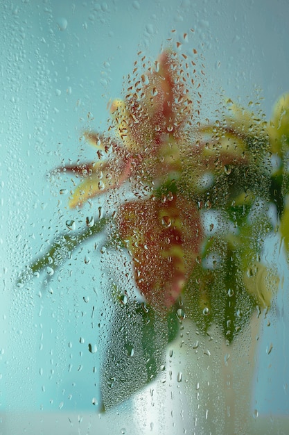 湿気ガラスの後ろに見える美しい花