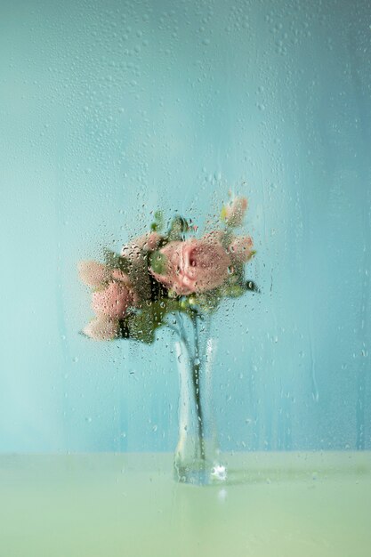 Beautiful flowers seen behind humidity glass