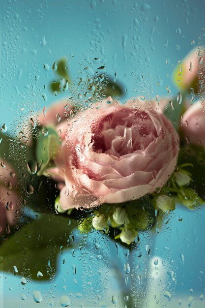 Beautiful flowers seen behind humidity glass