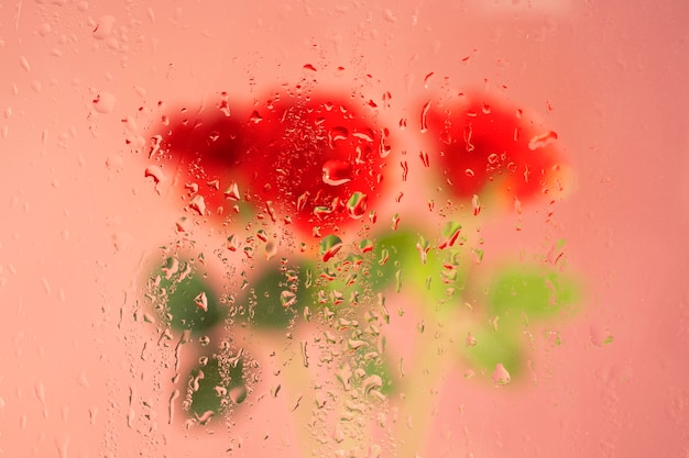 Beautiful flowers seen behind humidity glass