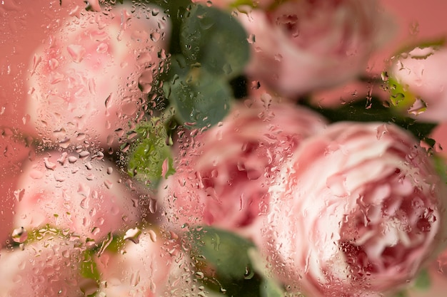 Beautiful flowers seen behind humidity glass