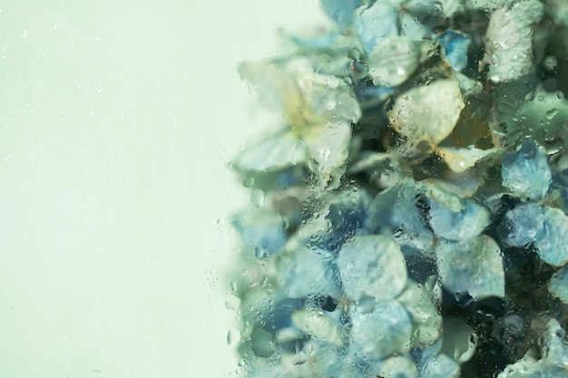 Beautiful flowers seen behind humidity glass