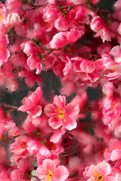 Free photo beautiful flowers seen behind humidity glass