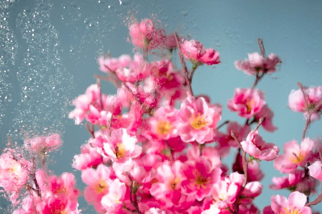 Beautiful flowers seen behind humidity glass