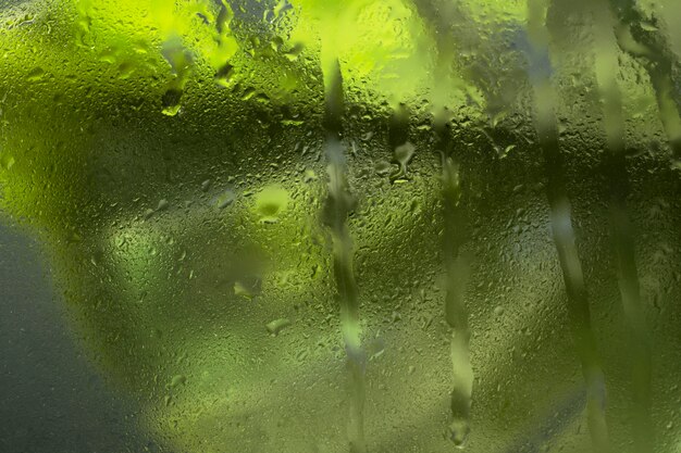 Beautiful flowers seen behind humidity glass