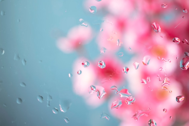 Free photo beautiful flowers seen behind humidity glass