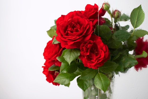 Beautiful flowers seen behind humidity glass