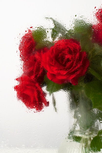 Free photo beautiful flowers seen behind humidity glass