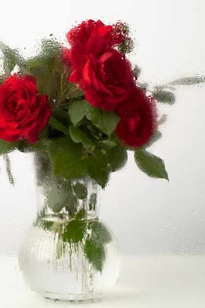 Beautiful flowers seen behind humidity glass