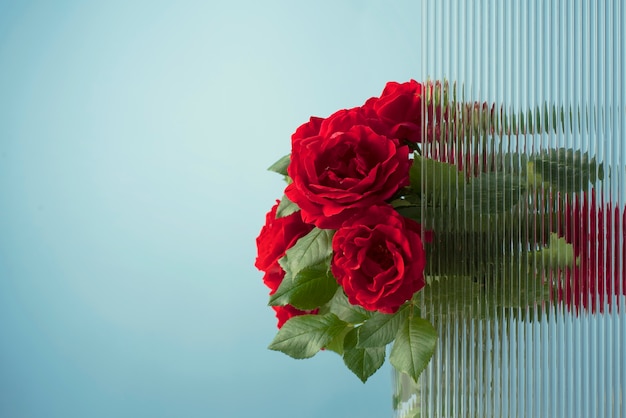 Beautiful flowers seen behind humidity glass