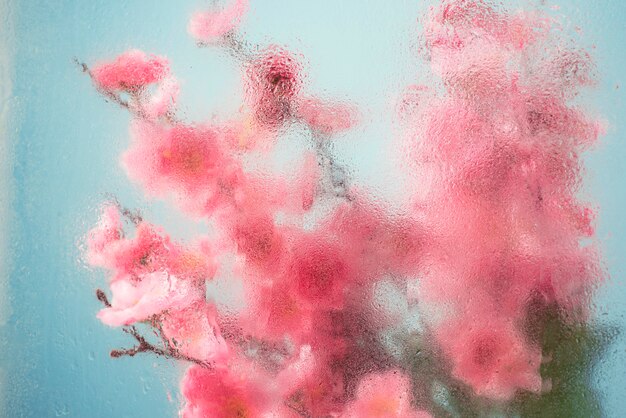 Beautiful flowers seen behind humidity glass