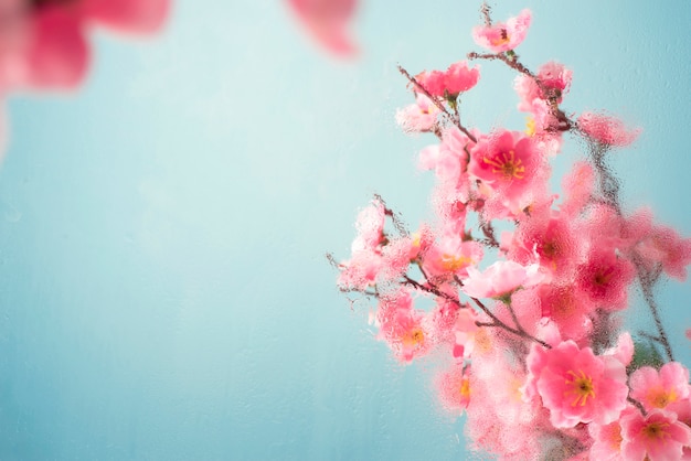 Beautiful flowers seen behind humidity glass