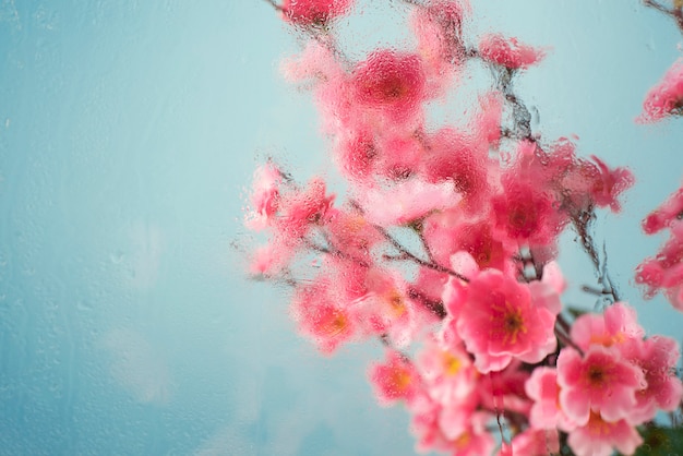 Free photo beautiful flowers seen behind humidity glass