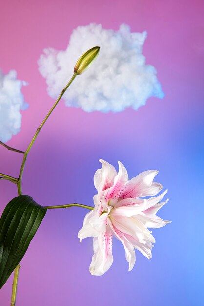 Beautiful flowers with gradient background