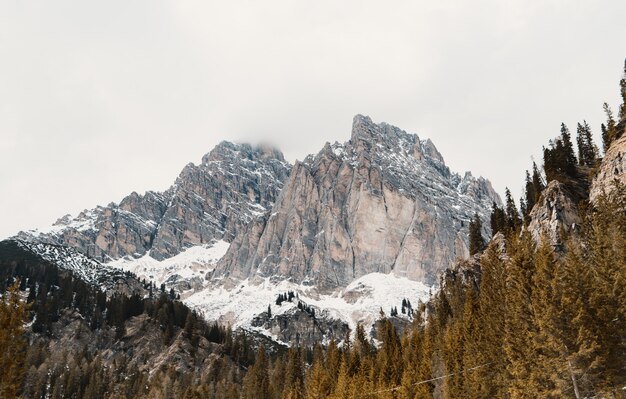 Beautiful forest on a hill with high rocky snowy mountains