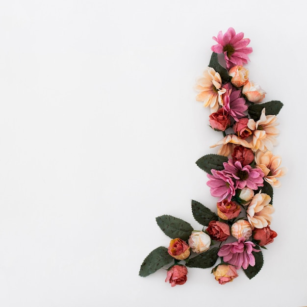 Bella cornice fatta con petali di fiori e piante su sfondo bianco