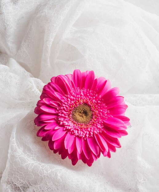 白いテキスタイルの間の美しい新鮮な明るいピンクの花