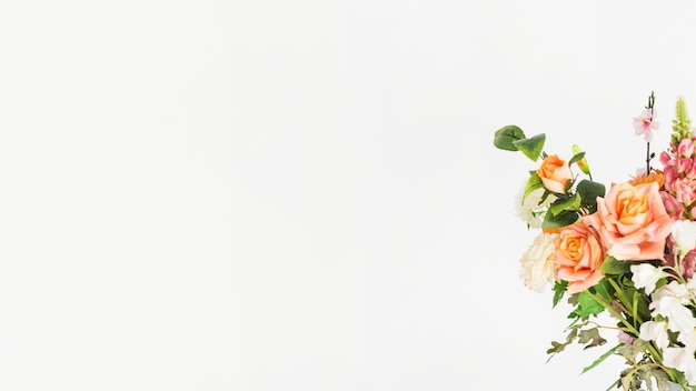 Beautiful fresh flowers on white background