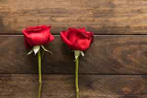 Free photo beautiful fresh red blooms