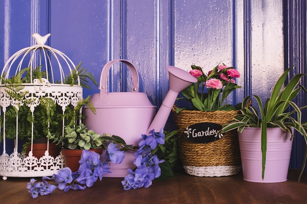 Beautiful gardening concept with watering can