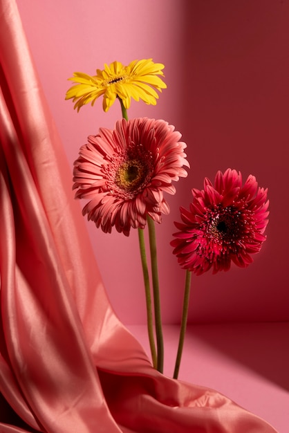 Bellissimi fiori di gerbera con sfondo rosa