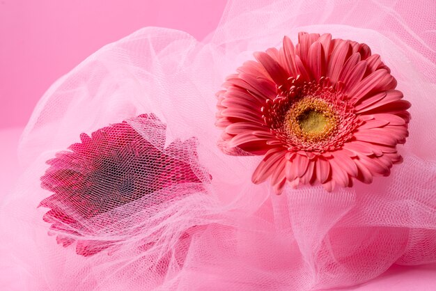 아름다운 거베라와 핑크 베일